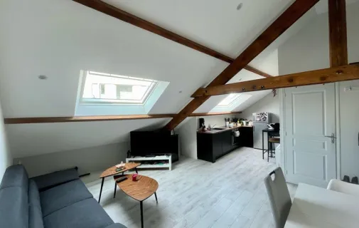 Location Paris Appartement 66cf35145a29