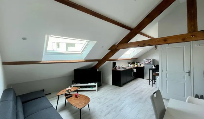 Location Paris Appartement 66cf35145a29